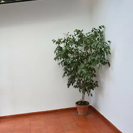 Villa Casa Olaias *