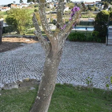 Casa Olaias Villa Sesimbra